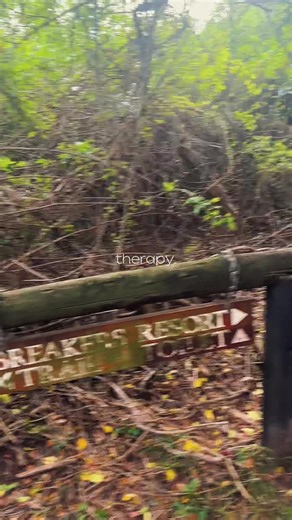 Exploring Umhlanga Lagoon Nature Reserve