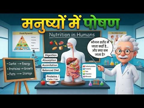 Nutrition in Humans: Human Digestive System | Class 10 Biology | Life Processes