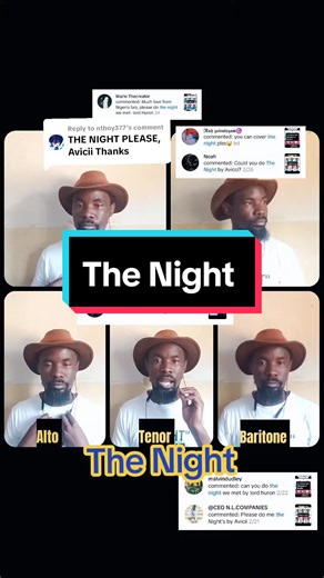 The Night - Avicii Acapella Cover Performance