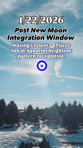 Maggie Taylor on Instagram: "Sovereignty is the state of being fully self-led. 💥 This Aquarius-season energy supports clarity, self-authority, and clean alignment. What no longer fits becomes easier to see. What is true feels steady and calm. I pulled an Oracle card for you in my stories today for collective guidance. There is also a free energy-clearing meditation available in my stories that will link you to Insight Timer. If you feel called to go deeper, private REIKI ◊ SOUL ALIGNMENT SESSIO