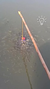 28K views · 33 reactions | Easy DIY fish bait hack using a bottle | Trend Rush | Facebook