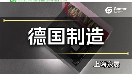 德国Ganter精密铰链 德国Ganter不锈钢铰链 德国Ganter碳钢铰链 德国Ganter压铸锌合金铰链 德国Ganter铝制铰链