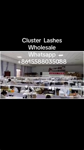Cluster lash vendor on Instagram: "Wholesale lash extensions/ easy fan/volume lashes extensions with your logo Plz add my WhatsApp, I can reply U as soon as possibility. api.whatsapp.com/send?phone=8615588035088 1: Best lashes vendor, lash trays lash extensions factory in China 2: Wholesale color lashes,25mm mink lashes and natural lashes to USA 3: large production and good price advantage directly ship out from factory 4: Support small order and help you build your own lash brand 5: Custom logo
