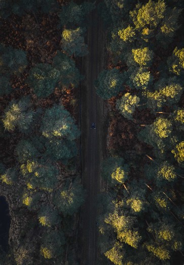 Exploring Aerial Photography Opportunities with Drones