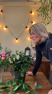 Pas på hundene – disse 8 juleplanter er giftige ‼️ I julen skaber vi hygge med smukke blomster og løgplanter, men flere af dem kan være giftige for hunde, hvis de tygger i dem eller spiser dem. Har du en nysgerrig hund i huset – især en hvalp eller unghund – så vær ekstra opmærksom på, hvad der står inden for rækkevidde. ‼️ Giftige juleplanter, du skal passe på: ⭐ Julestjerne ⭐ Julerose ⭐ Mistelten ⭐ Kristtjørn ⭐ Hyacint ⭐ Amaryllis ⭐ Tulipan ⭐ Alpeviol ☠ Tegn på forgiftning kan være: • Opkast, 