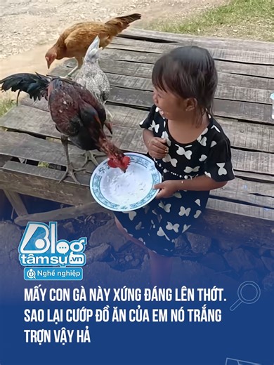 Gà và cuộc chiến đồ ăn thú vị