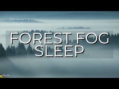 Fall Asleep in Minutes – Deep Sleep Soundscape for Relaxation and Rest | 1 Hour
