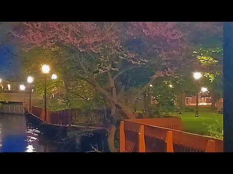 zz-zoom - never again ( official audio)