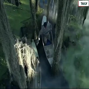 383K views · 6.1K reactions | BEST NEW FILM NETFLIX 2024 | Architect X | Facebook