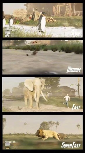 Speed Comparison Animals With 4 Levels of Speed!! #animals #speed #comparison