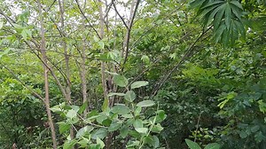 11K views · 303 reactions | Considering the limited spaces available...