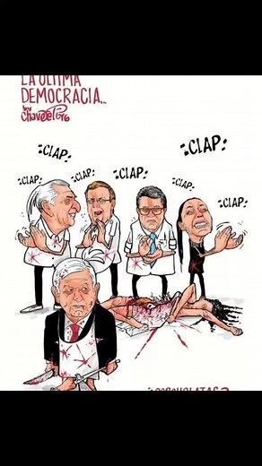 Political Cartoons Exposing Democratic Issues in Mexico