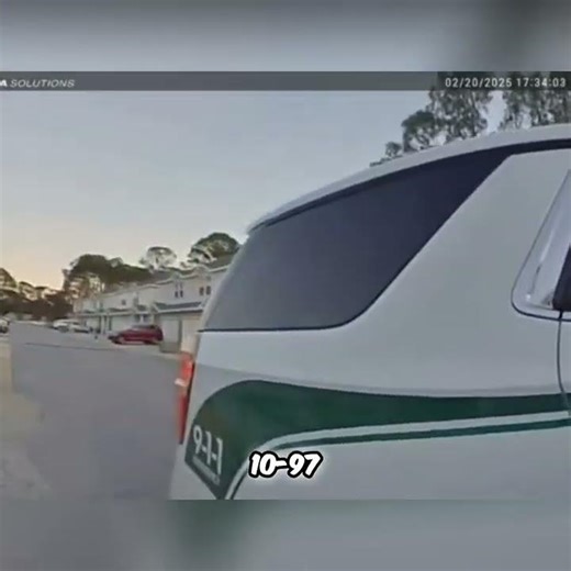 Caught Red-Handed: Thief Begs For Mercy In Police Car #shorts