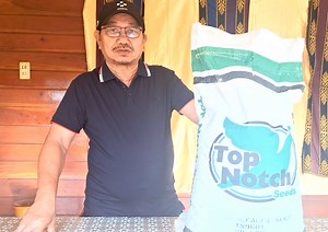 44K views · 1.4K reactions | Alfalfa Under Coconut! Today, I will...