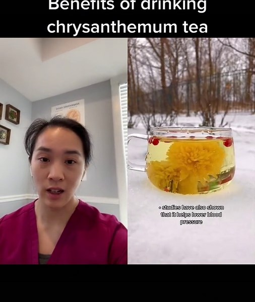 #duet with @yueneedtea benefits of chrysanthemum tea. :) #tcm #tea #chinesemedicine