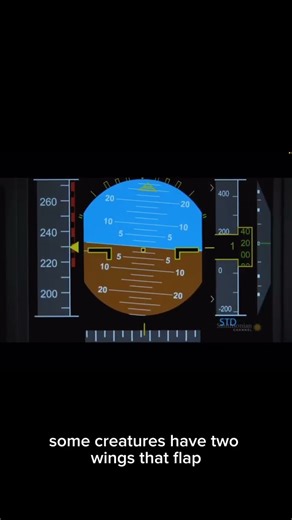 flight 780 cathay🥶🥶 #aviation #cathaypacific #flight780
