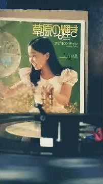 アグネスチャン/草原の輝き (1973年)#昭和歌謡 #70年代アイドル