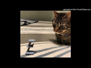 [SOLD] Chill Jazzy Wintertime ? type beat (prod. @okthxbb)