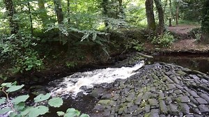 7.6K views · 35 reactions | Rivelin Valley Nature Trail has a bit of everything! Waterfalls, play area, pram friendly walks & FREE parking. All the details you need here  https://yorkshiretots.com/rivelin-valley-nature-trail-walk/ | Yorkshire Tots to Teens | Facebook