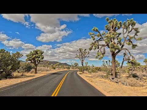 A Drive Through Joshua Tree National Park