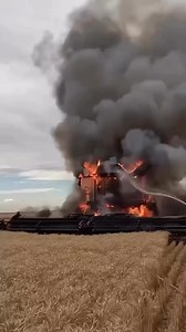 6.4K views · 108 reactions | تراکتۆر نیوهۆڵند on Reels | Facebook