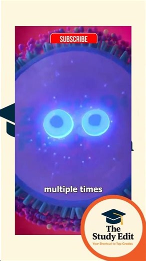 Grade 12 : Reproduction in Humans | Exam Revision | Quick Biology Notes #LifeSciences #BiologyShorts