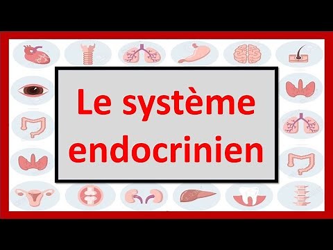 🔴ENDOCRINOLOGY: THE ENDOCRINE SYSTEM IN 06 MINUTES