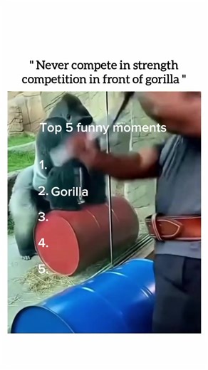 Random videos (@randomvideosfu)’s videos with original sound - Random videos