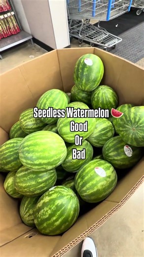 What’s the difference between seeded and seedless watermelon 🍉. #watermelon #difference #pushups