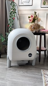 One-stop shop with great discounts, premium quality, and the latest trends | Temu