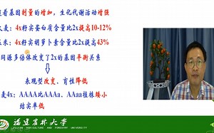 染色体变异-染色体数目变异-同源多倍体-茶创2021级