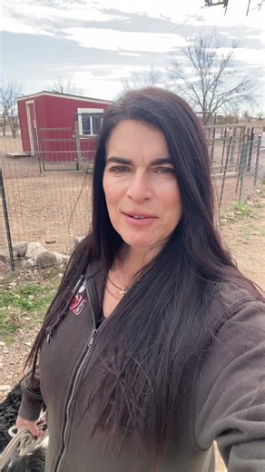 Elite K9 Training Ranch (@moniquek9trainingranch)’s videos with original sound - Elite K9 Training Ranch