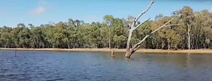 Lake Eppalock Fishing Guide | Melbourne & Victoria