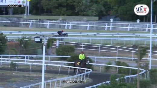 𝗧𝗥𝗔𝗜𝗡𝗜𝗡𝗚 𝗨𝗣𝗗𝗔𝗧𝗘 𝟭𝟲 𝗢𝗖𝗧𝗢𝗕𝗘𝗥 𝟮𝟬𝟮𝟱 🔴 All training videos and full details are available here : https://www.mtcjockeyclub.com/form-guide/workout/326 𝗪𝗼𝗿𝗸𝗼𝘂𝘁 𝗪𝗿𝗮𝗽 Only ten horses clocked fast work this morning, with most restricted to short 200-metre spurts. Ninety Nine Heros and Just Var galloped over 600 metres, continuing to build their fitness ahead of their anticipated debuts this Saturday. Also expected to step out for the first time is Zacatoo. He ooked s