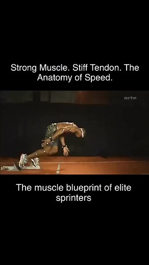 16K views · 1.3K reactions | The anatomy of speed. Researchers used...