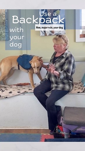 Use a backpack on your busy kiddo! #dogsrock #pranadogs #dogbehavior #dogrehab #dogtraining | prana DOGS