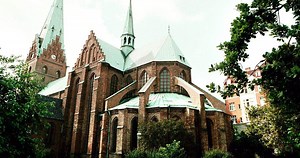 Tyska Pegida demonstrerar i Sverige