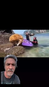 87K views · 12 reactions | Newly discovered cryptid found on remote island Jun 15, 2024 | Cetinbozkurt865 | Facebook