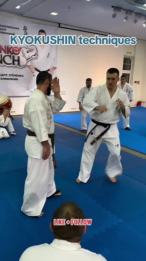 Master Kyokushin Karate Techniques for Combat