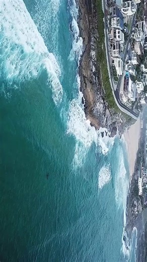 Preserved Great White Shark Spotting in Australia