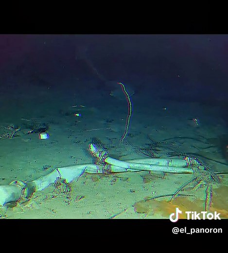 Exploring the Depths: Titan Submersible and the Mysteries of the Atlantic Ocean
