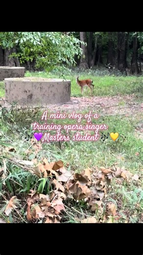 A mini vlog of a training opera student 🎶#classicalmusic #music #singing #operasinger #opera