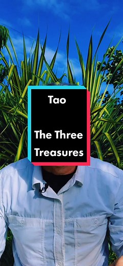 Introduction to Tao lessons. The three Treasures are the basic principles a person uses to practice Taoism with grace and awareness. Kindness lets you work to the base nature of each situation. Modesty allows you to evolve and adapt for each situation. Non-judgment allows you to avoid unnecessary conflict and understand how each people measure themselves. Embracing Tao: understand who you are and always finding Common Ground to grow from in your travels. #Taoism #Empowerment #tao #CapCut