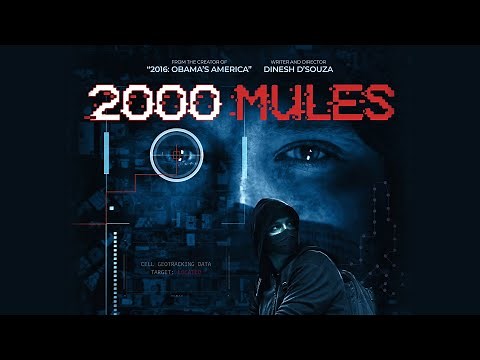 2000 Mules: Official Trailer