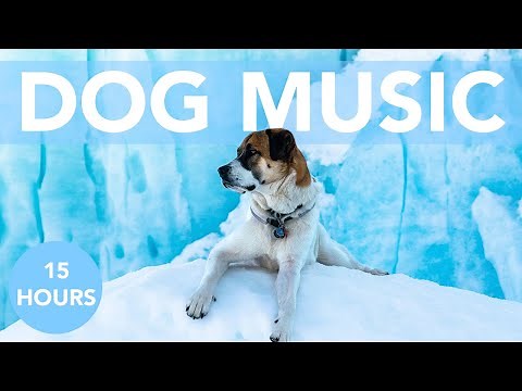 DOG MUSIC! Soothing ASMR to Help Your Dog Sleep! No More Anxiety!