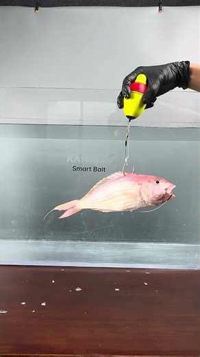 Kanama Smart Bait – Fish Smarter, Catch More