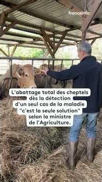 "S'il y a un cas ici, je ne le déclarerai pas"