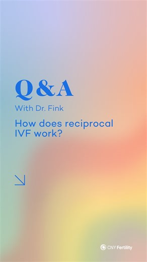 Reciprocal IVF is a variation of the standard IVF procedure where the embryos are made using Partner A’s eggs but are then transferred to Partner B’s uterus to carry the pregnancy! That means Partner A (the egg donor or genetic mother) is genetically related to the child, and Partner B (the carrier or birth mother) is biologically bonded to the child through pregnancy - how cool is that?! 🏳️‍🌈✨ Be sure to catch Dr. Finks weekly lives Tuesdays at 6PM where you can get your own questions answere