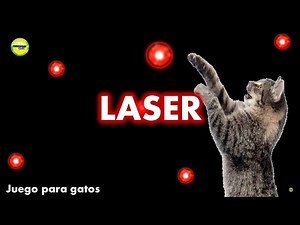 Videos para #gatos - #Laser