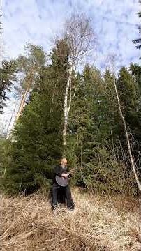 Free improvisation in Jättiläinen #guitar #music #jazz